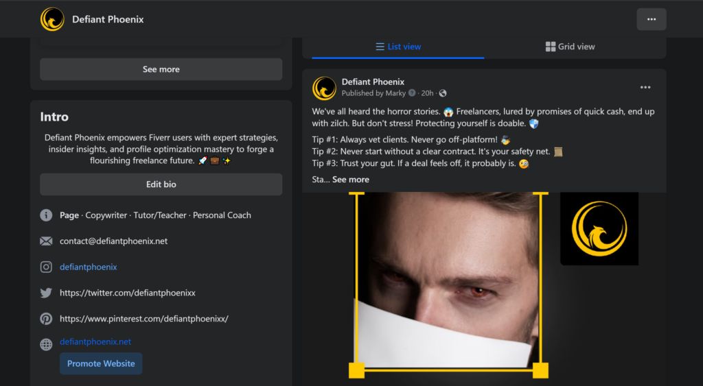 screenshot of the defiant phoenix Facebook page (not used to promote fiverr gigs)